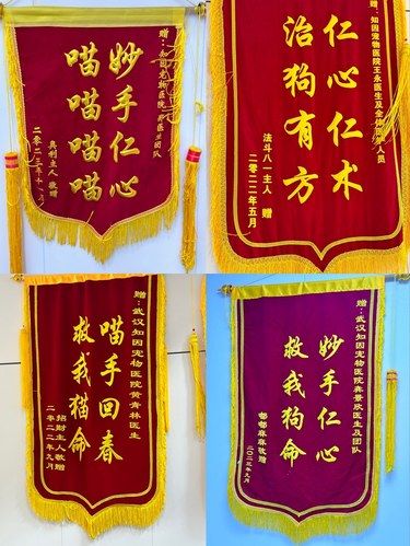 宠物医院的锦旗……是真的哈哈哈哈哈