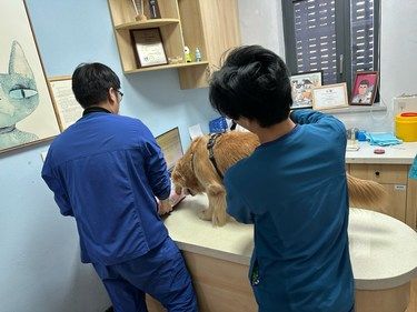 谢谢蔡医生