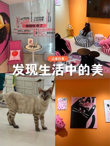 今天是被毛茸茸小可爱们包围的一天
