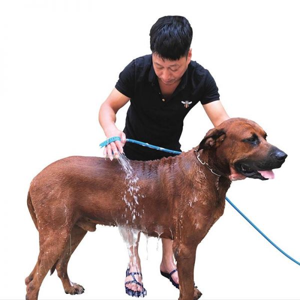 叁栀精选铺其他美容护理用品