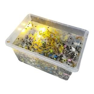 小蝌蚪活物牛蛙蝌蚪苗儿童观察宠物活体 青蛙蝌蚪水族宠物送饲料