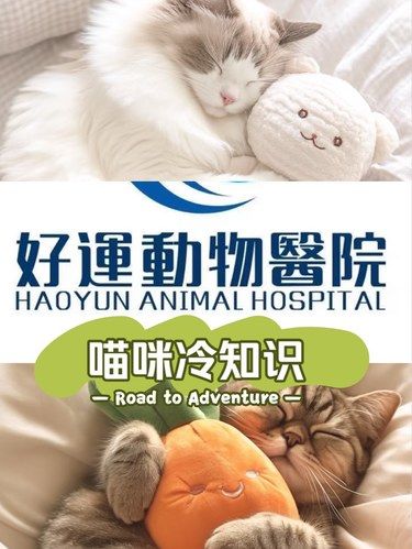 猫猫冷知识[惊叹]