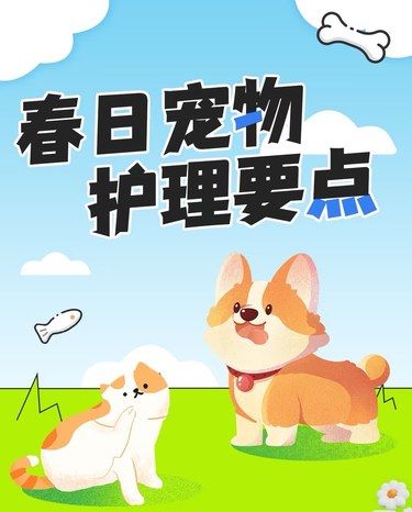 春季宠物护理小贴士，让毛孩健康过春天！