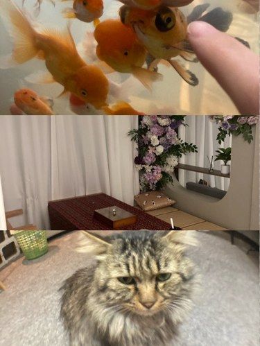 贵阳青旅推荐