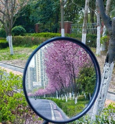 春暖花开的城市风光