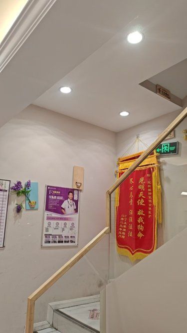 宠物医院小心得
