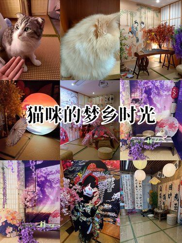 古风旅馆一日体验记
