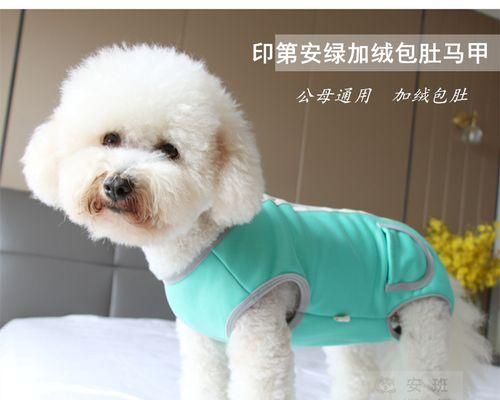 狗狗为什么会挠肚子（狗狗为什么会挠肚子）