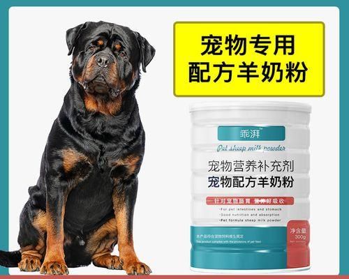 狗狗为什么会挠肚子（狗狗为什么会挠肚子）