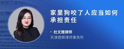 家里狗咬了人应当如何承担责任