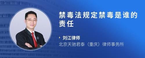 禁毒法规定禁毒是谁的责任
