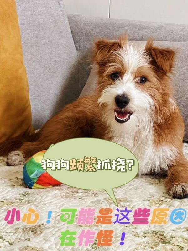强化免疫