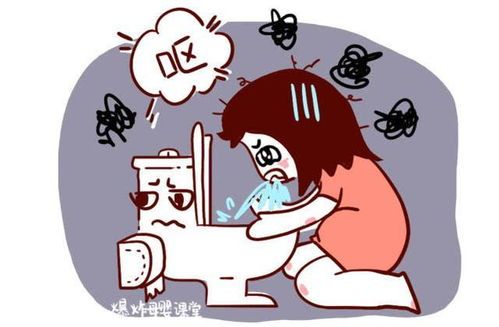宠物怀孕，孕吐现象了解一下？