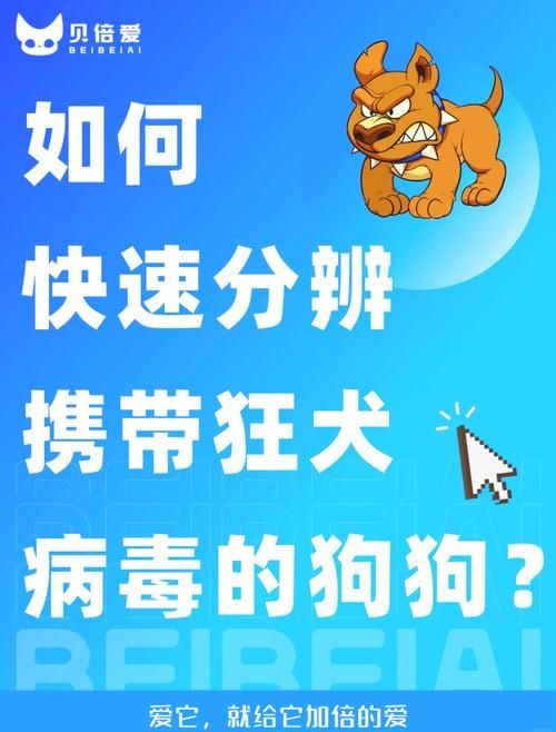 宠物控如何看狂犬病