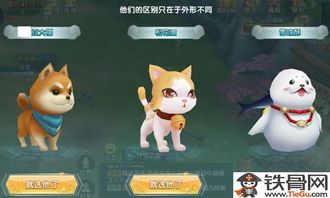 “魔兽萌宠圈,宠物控必看!”