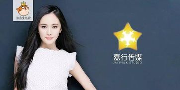 “揭秘:嘉行传媒老板杨幂,宠物控?#宠物圈#”