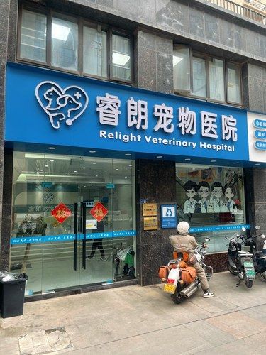宠物医院也有新发现了……