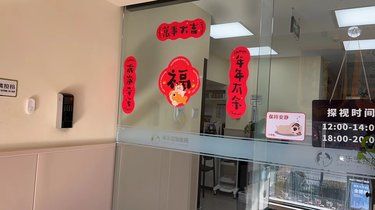 给毛孩子的贴心守护 | 莱乐宠物医院探店