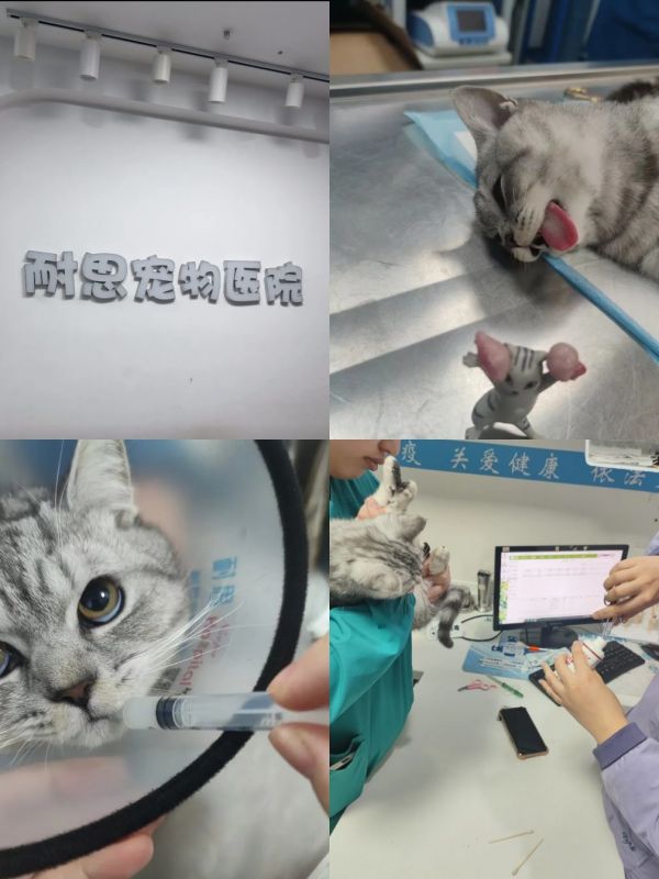 https://qcloud.dpfile.com/pc/38eJP4JrSsfY0shsxY7MnKOb8_YJjCmWacQHMgzyVmKfYMcygd0lHI-zkO9zllM-Y0q73sB2DyQcgmKUxZFQtw.jpg
