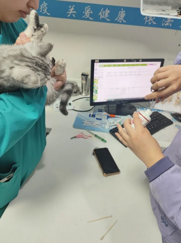 https://qcloud.dpfile.com/pc/ESarP2i_2OYuFOPij1h6F85gwvOoWPf3Mof6EmWkoZJeEJwCJfzPa-rfaX5LDWvoY0q73sB2DyQcgmKUxZFQtw.jpg