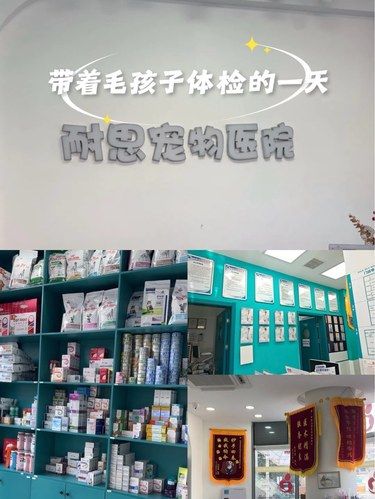 猫咪看病日记～