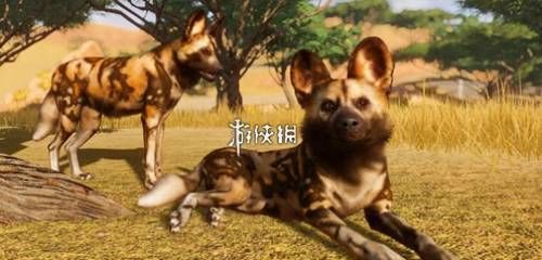 2024热门的宠物手游推荐