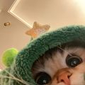 https://p0.meituan.net/userheadpicbackend/8fea69f8d382a01460530d5454f95f27650279.jpg%40120w_120h_1e_1c_1l%7Cwatermark%3D0