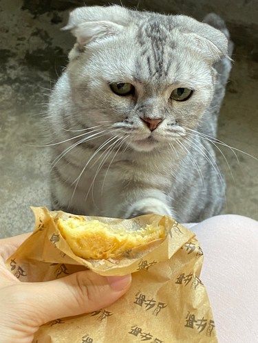 选对宠物医 院真的太太太重要了！！