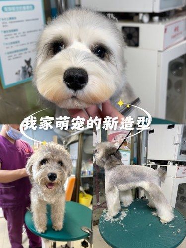 容桂修勾美容美发