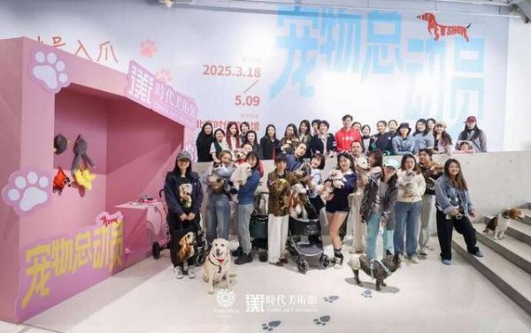开幕式现场。主办方供图