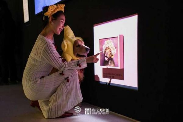 低视角设计让宠物也能平视看展。主办方供图