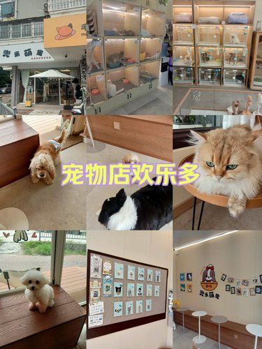 快乐宠物家