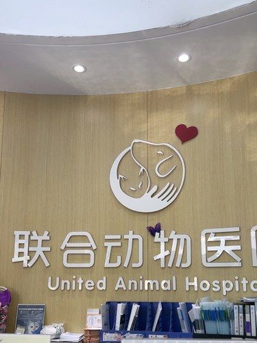 来联合动物医院绝育啦