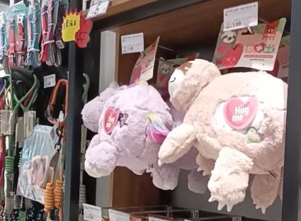 小佩，一家干净的、放心的宠物店