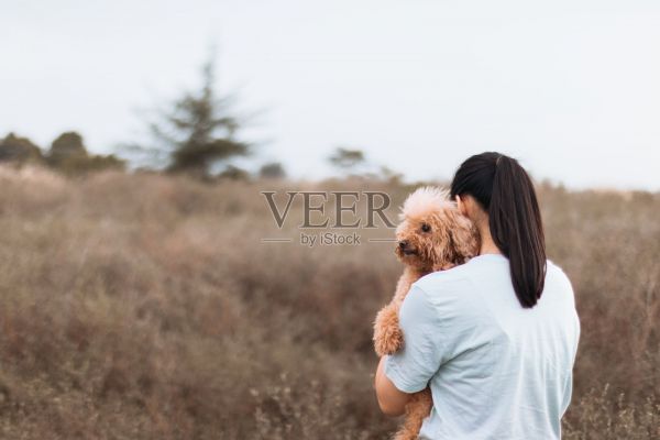 亚洲青少年女性携带和拥抱宠物贵宾犬照片摄影图片