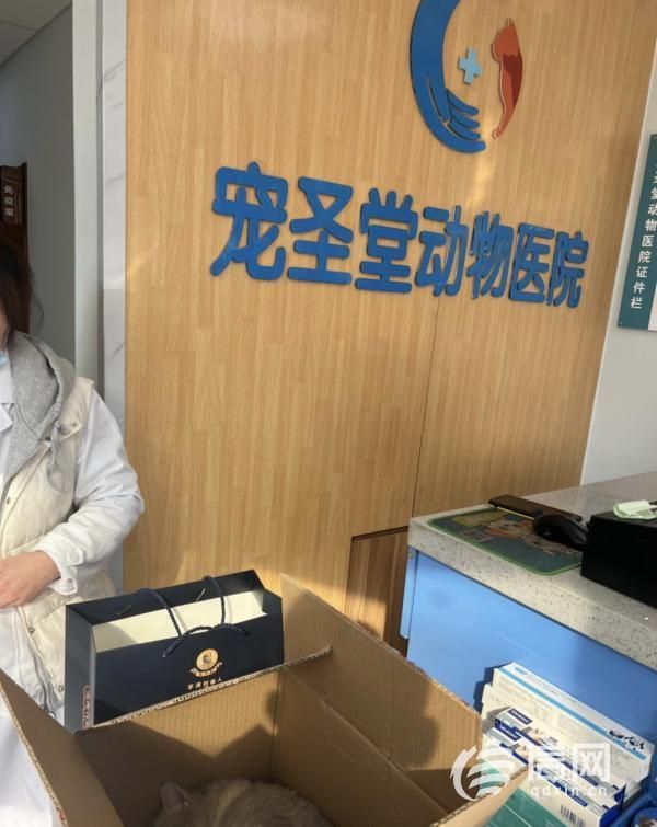 3·15在行动丨宠物猫做绝育手术三小时后死亡，青岛宠圣堂动物医院拒不担责