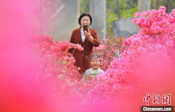 游客在安徽省安庆市岳西县莲云乡平岗村赏花拍照。　吴均奇 摄