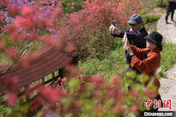 游客在安徽省安庆市岳西县莲云乡平岗村赏花拍照。　张娅子 摄