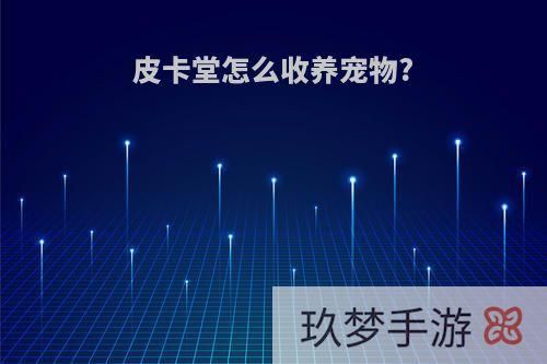 皮卡堂怎么收养宠物?