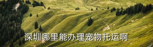 深圳哪里能办理宠物托运啊