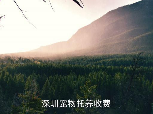 深圳宠物托养收费