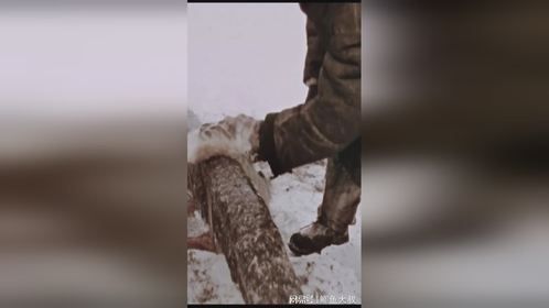 男人用铲子铲下一坨像牛粑粑一样的东西