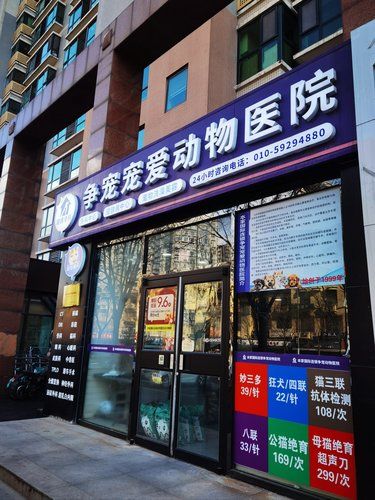 毛孩子在这里打针居然不吵闹？
