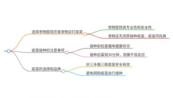 猫三联去宠物医院还是宠物店打