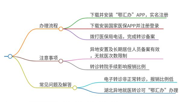 湖北省电子转诊怎么办理