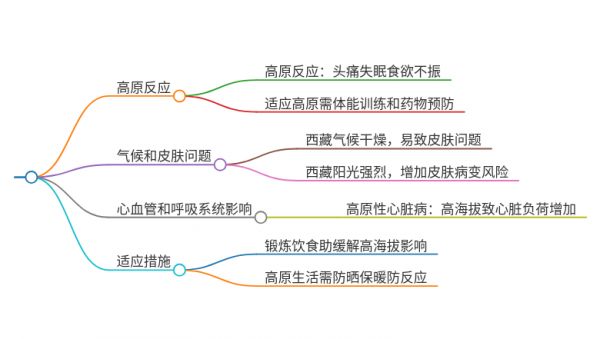 内地人到西藏生活久了对身体有什么影响