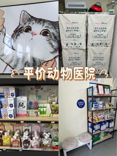 平价动物医院