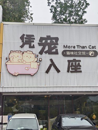 喵星人的豪气有求必应