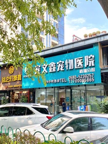 9.9的羊毛，你确定不来薅吗？