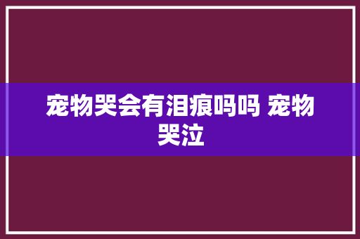 宠物哭会有泪痕吗吗 宠物哭泣
